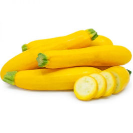 Courgette « yellow straight neck »